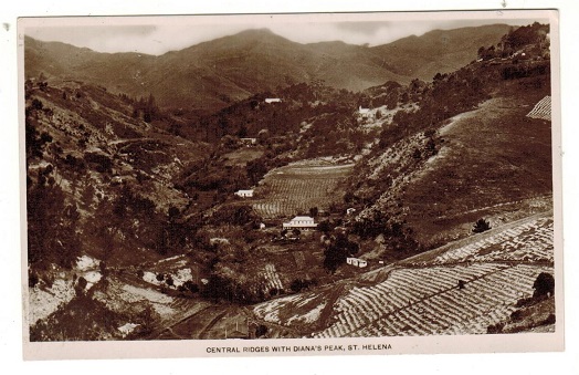 ST.HELENA - 1930 (circa) unused picture postcard depicting 