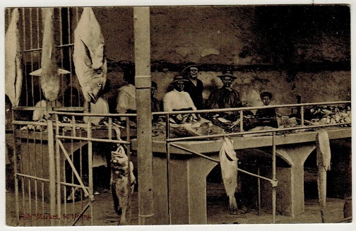ST.HELENA - 1905 (circa) postcard unused depicting
