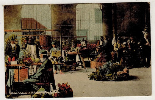ST.HELENA - 1905 (circa) postcard unused  depicting 
