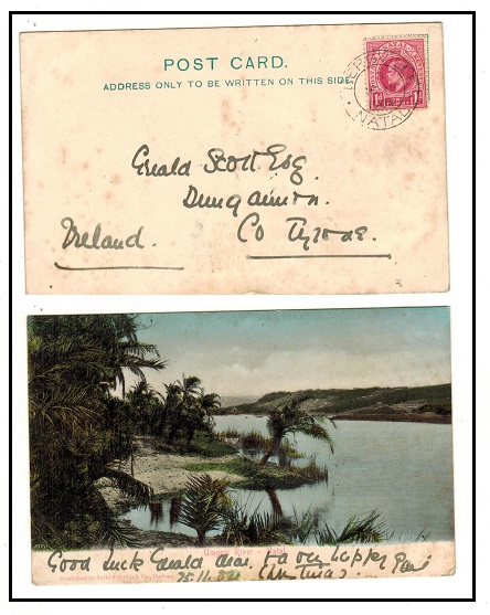 NATAL - 1904 1d rate postcard use to Ireland used at BERGVILLE.