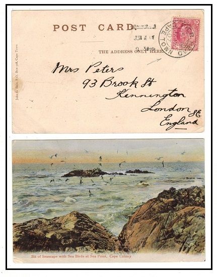 CAPE OF GOOD HOPE - 1907 1d rate postcard use to UK used at PIER HEAD.