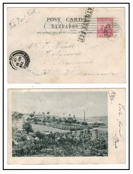 BARABADOS - 1901 1d rate postcard use to UK struck LATE FEE in black. 