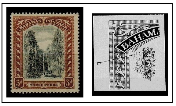 BAHAMAS - 1919 3d black and brown U/M with EXTRA TREE TRUNK variety.  SG 77.