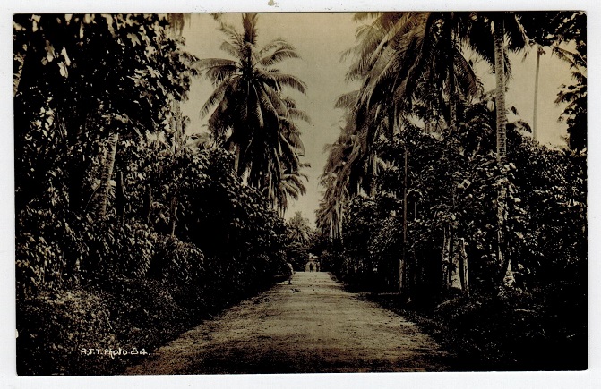 SAMOA - 1910 (circa) unused picture postcard depicting local roadway.