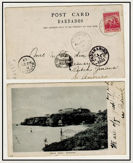 BARBADOS - 1901 1d rate postcard use to Dutch Guiana used at ST.PHILIP.