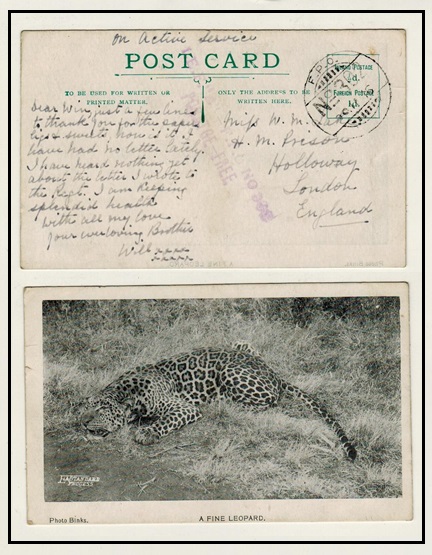 TANGANYIKA - 1915 stampless 