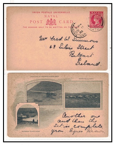 NATAL - 1893 1d carmine 