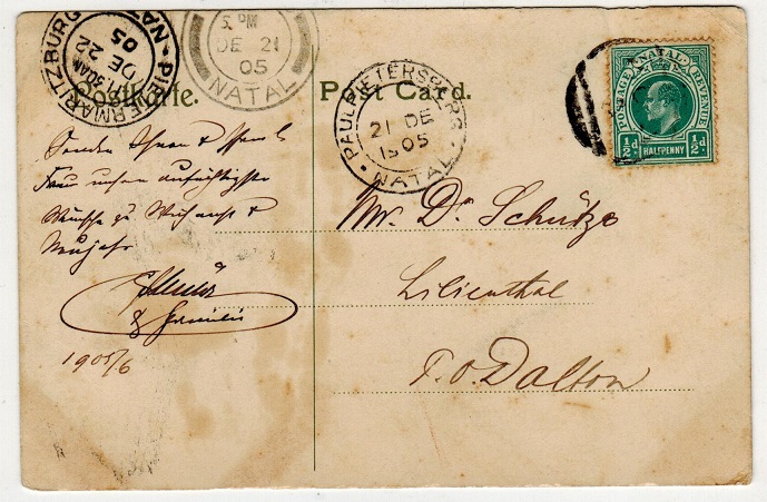 NATAL - 1905 1/2d local rate use of postcard at PAULPIETERSBERG.
