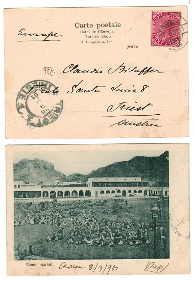 ADEN - 1901 use of picture postcard to Austria.